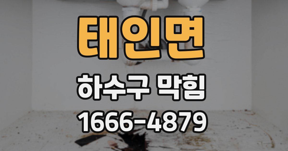 태인면 하수구 막힘