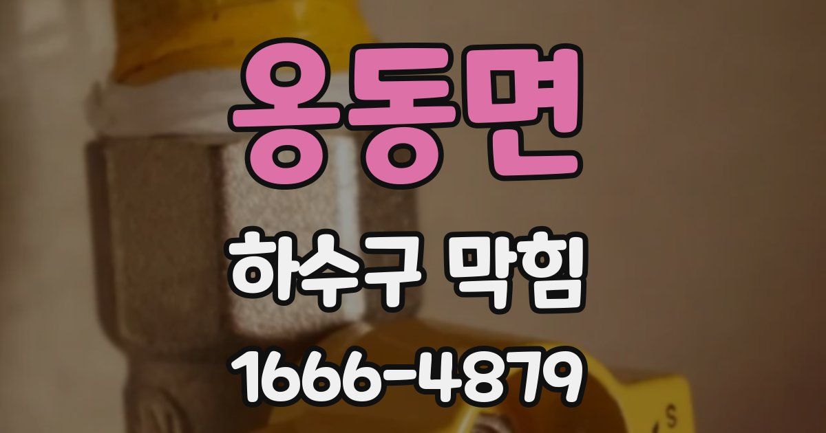 옹동면 하수구 막힘