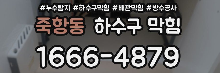 죽항동 하수구 막힘
