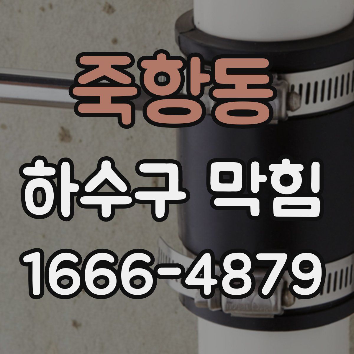 죽항동 하수구 막힘