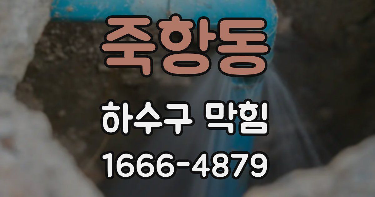 죽항동 하수구 막힘