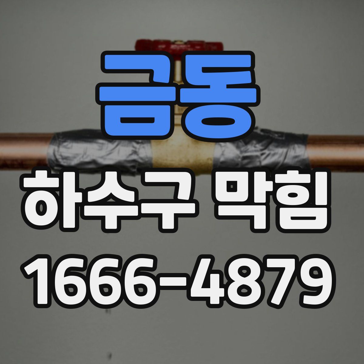금동 하수구 막힘
