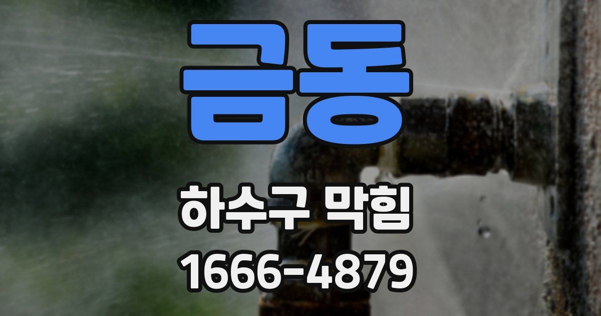 금동 하수구 막힘