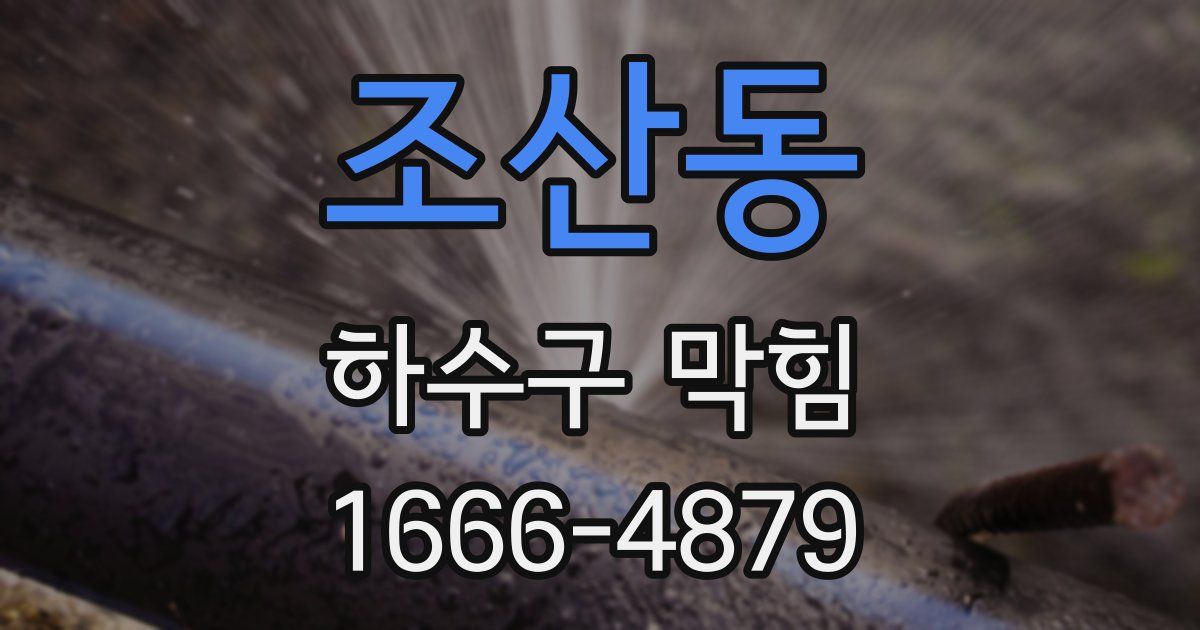 조산동 하수구 막힘