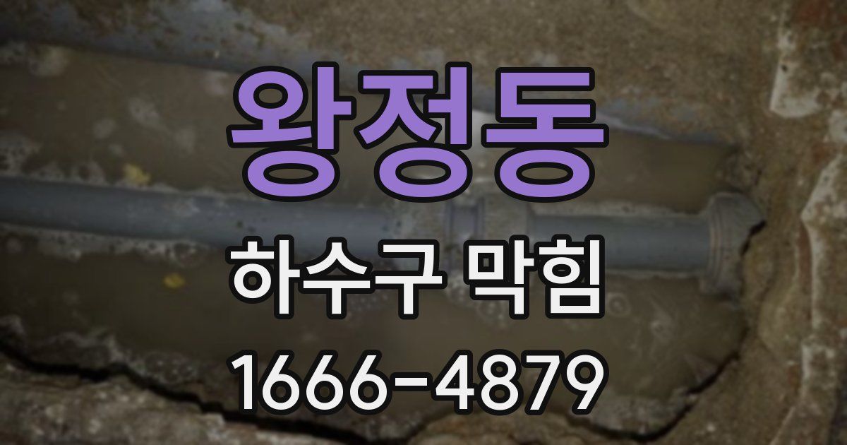 왕정동 하수구 막힘
