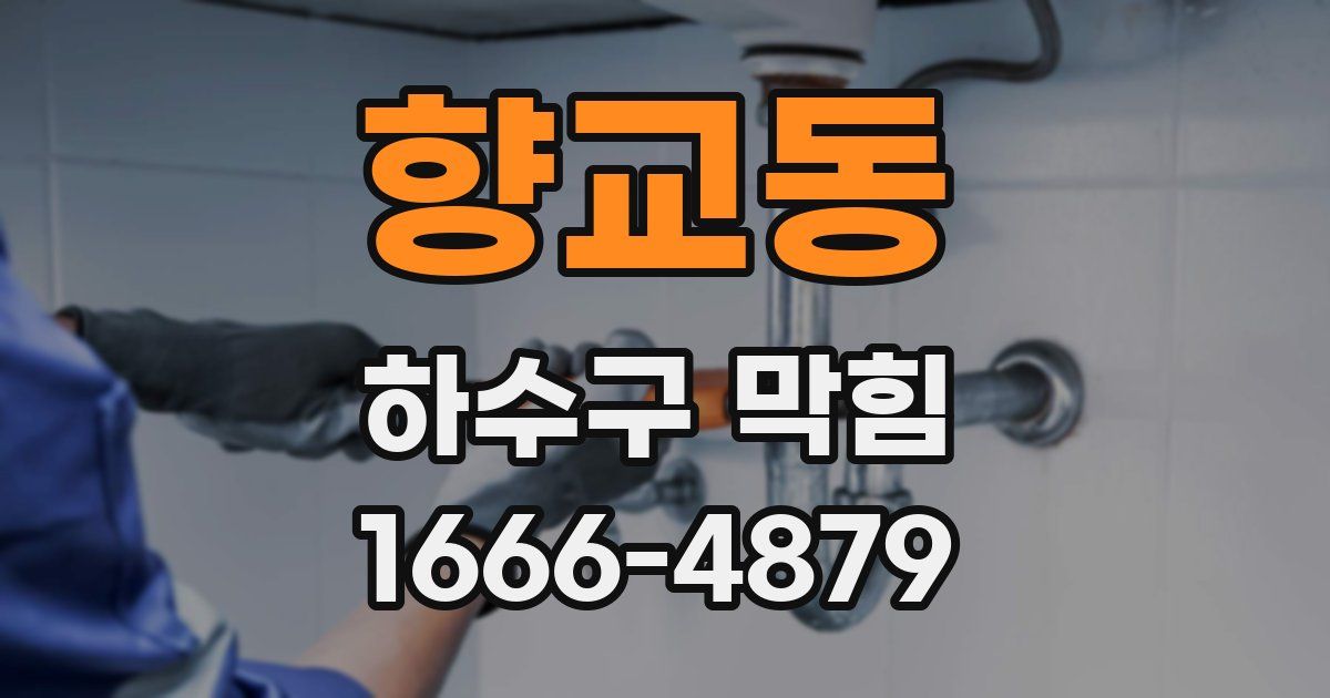 향교동 하수구 막힘