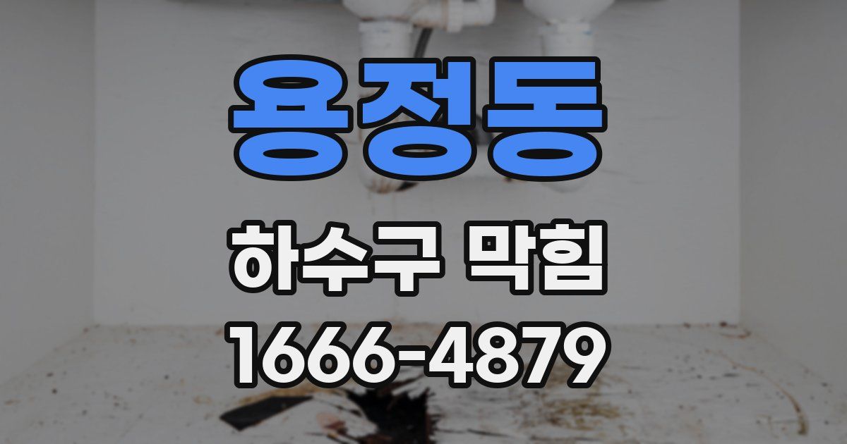 용정동 하수구 막힘