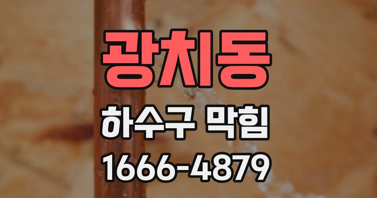 광치동 하수구 막힘