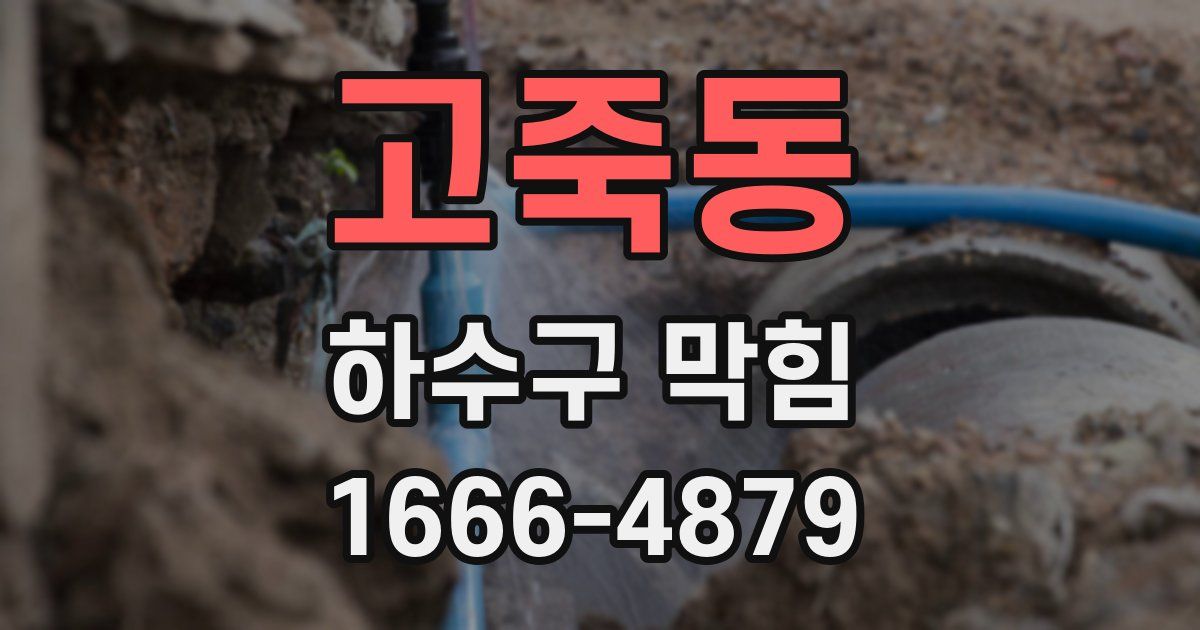 고죽동 하수구 막힘