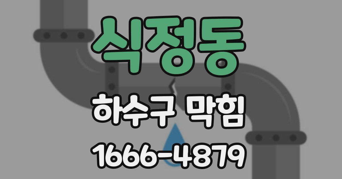 식정동 하수구 막힘