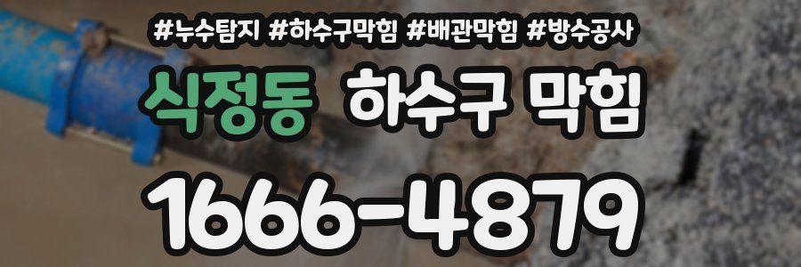 식정동 하수구 막힘