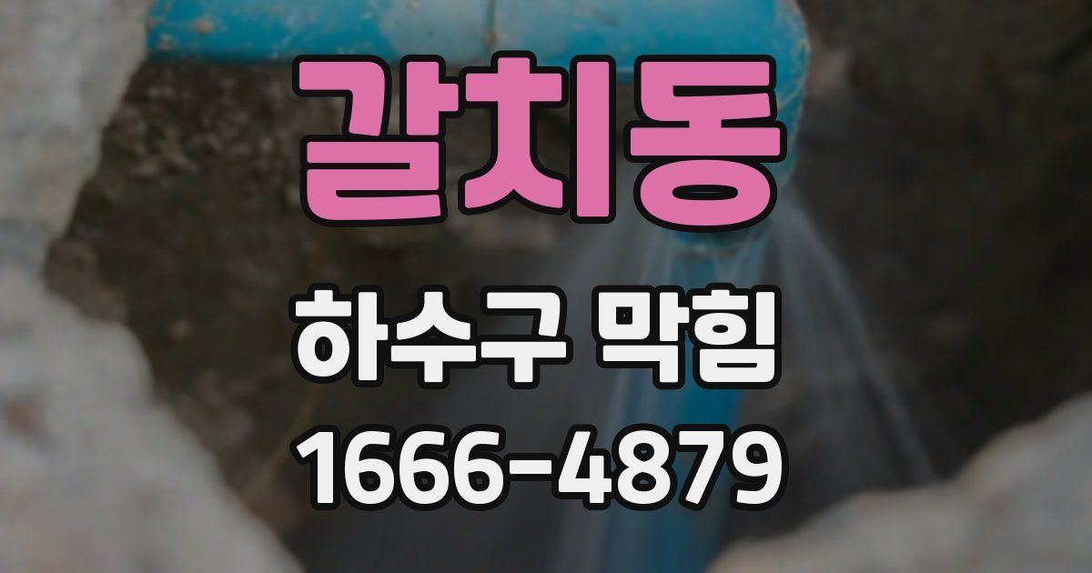 갈치동 하수구 막힘