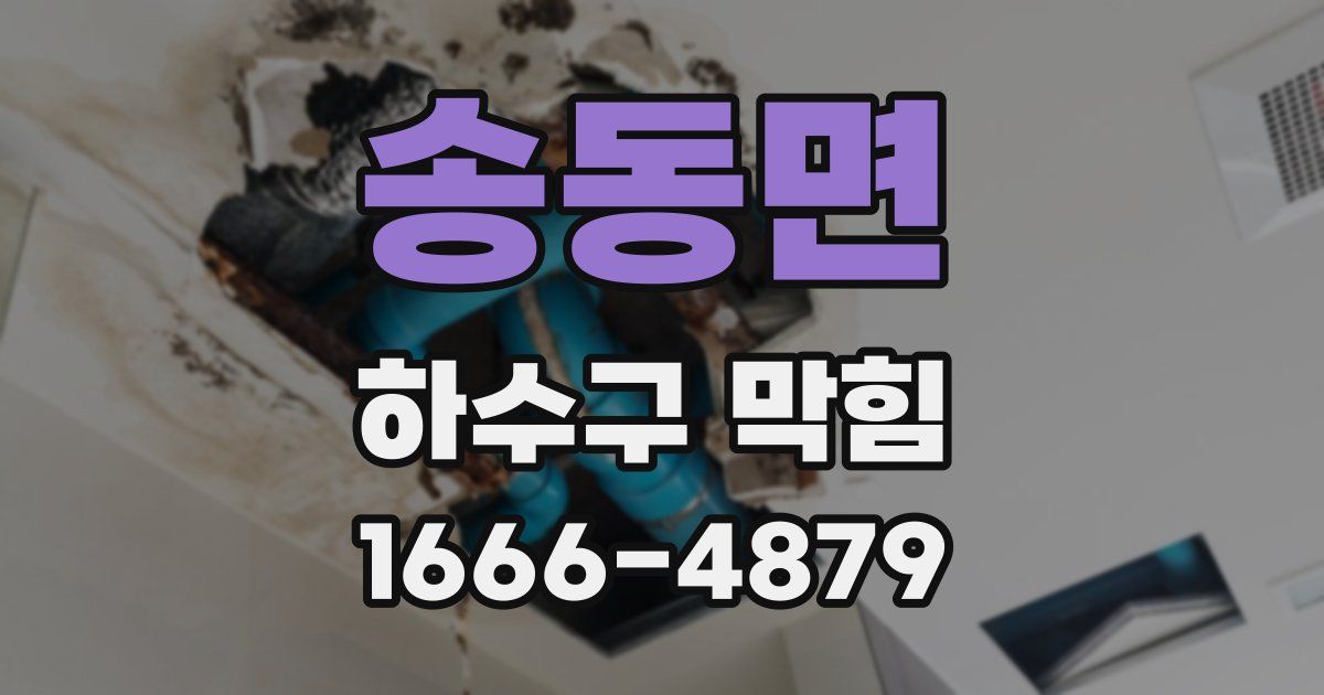 송동면 하수구 막힘