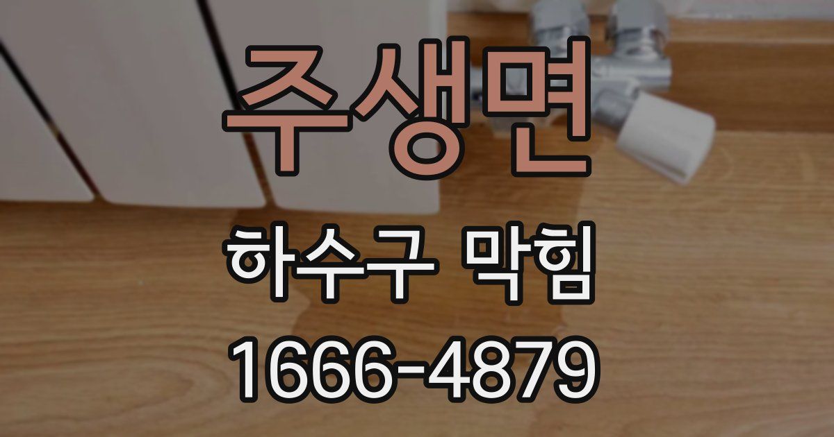 주생면 하수구 막힘