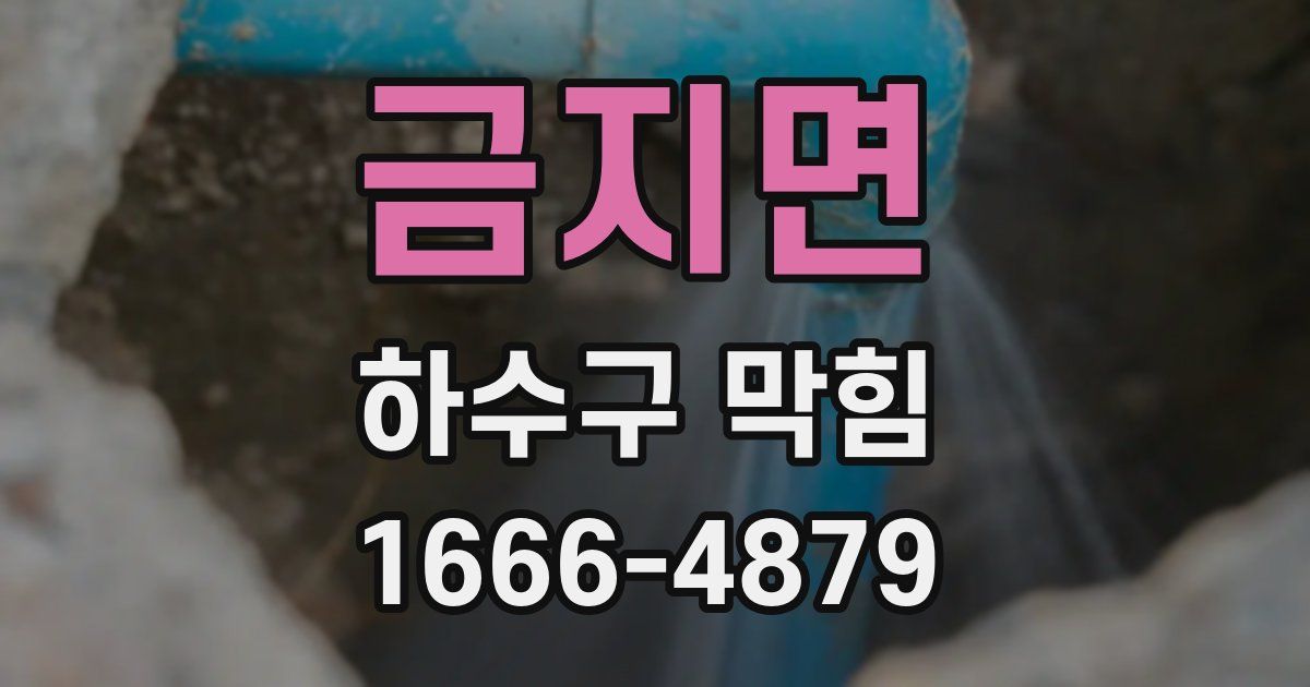 금지면 하수구 막힘