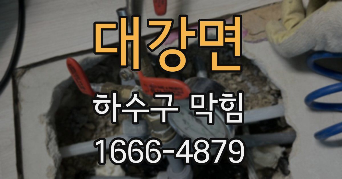 대강면 하수구 막힘