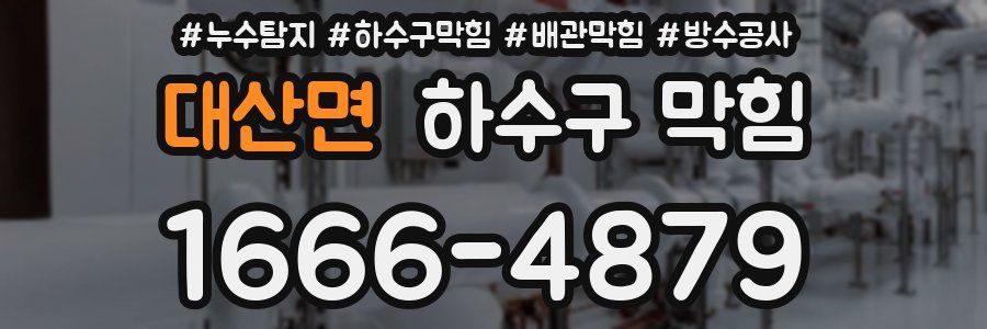 대산면 하수구 막힘