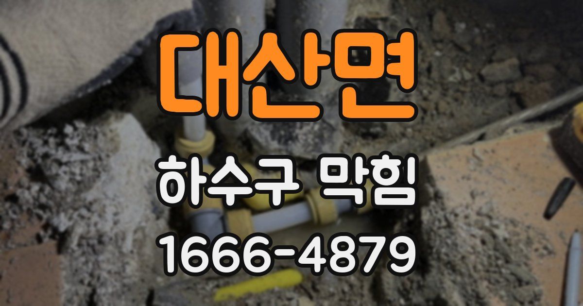 대산면 하수구 막힘