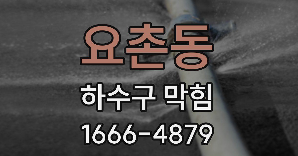 요촌동 하수구 막힘