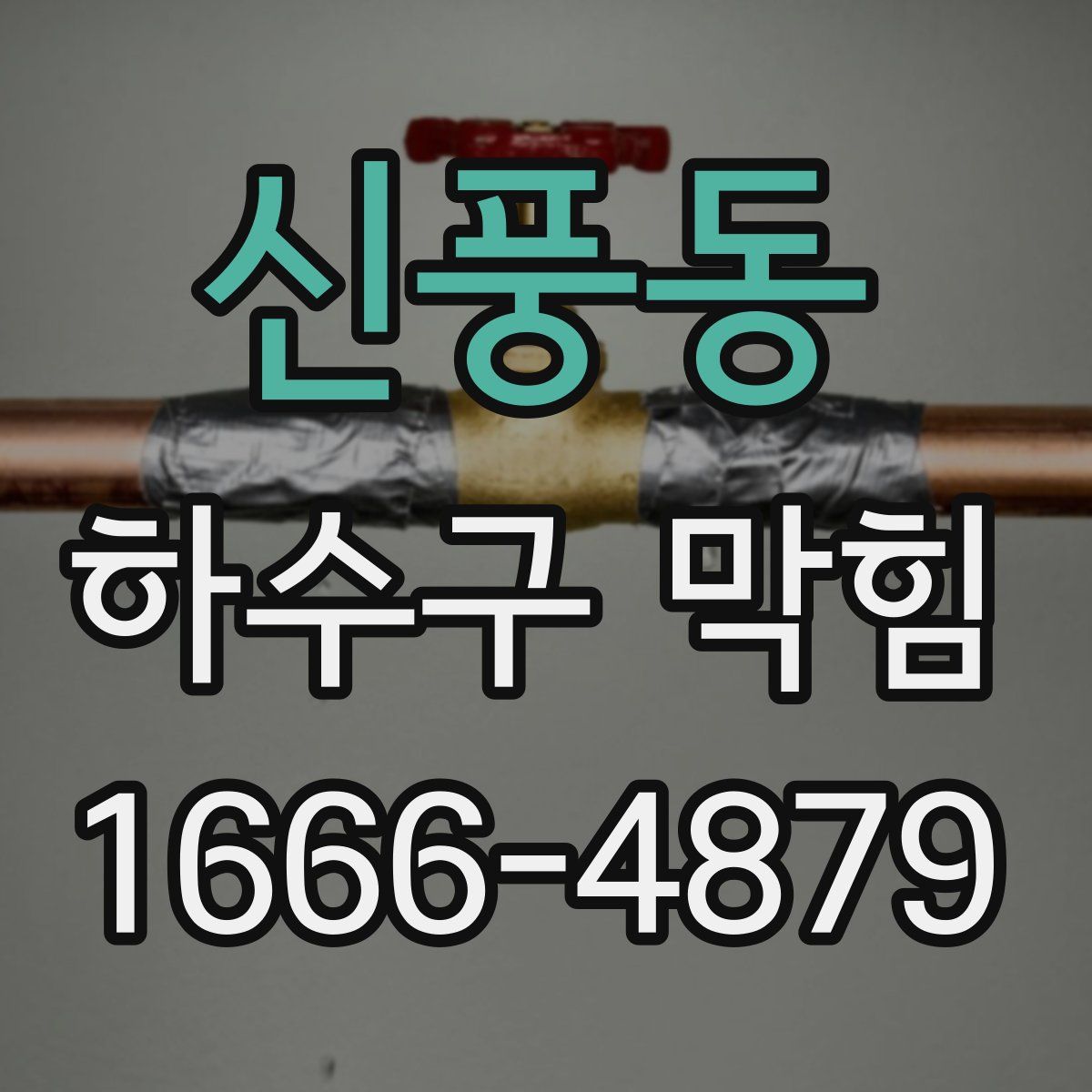 신풍동 하수구 막힘