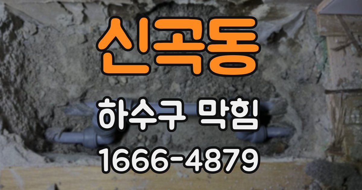 신곡동 하수구 막힘