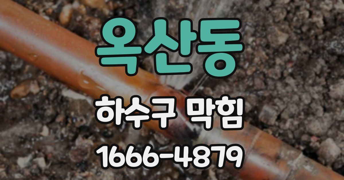 옥산동 하수구 막힘