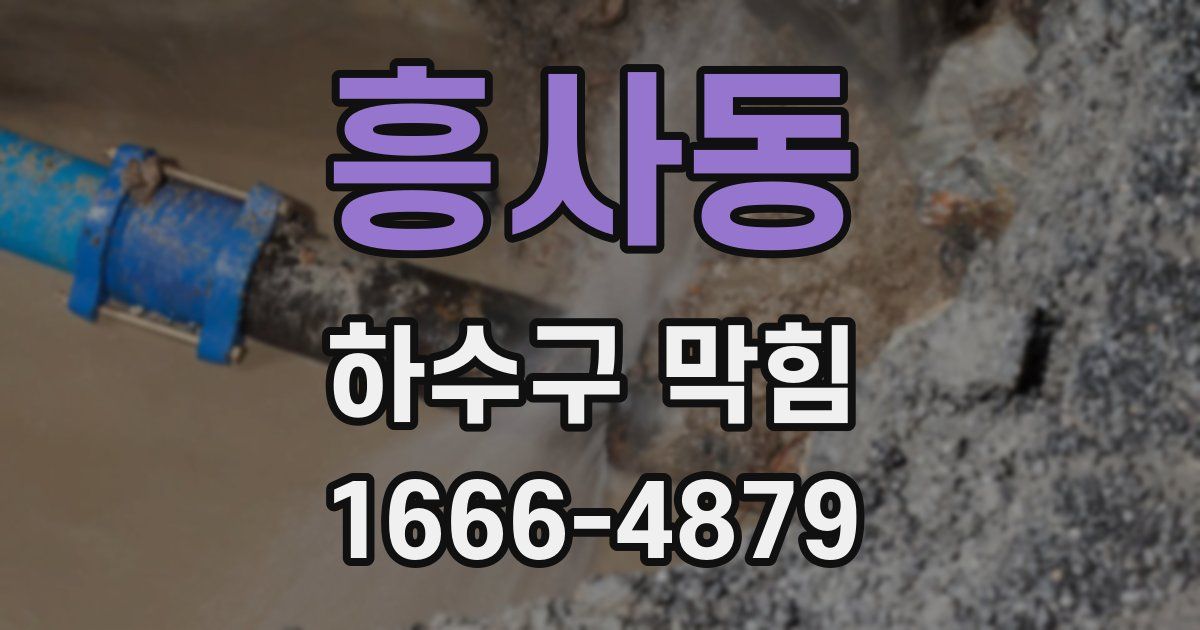 흥사동 하수구 막힘