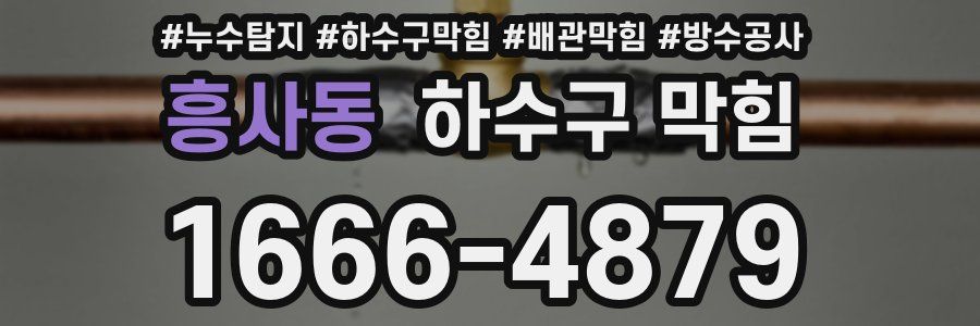흥사동 하수구 막힘