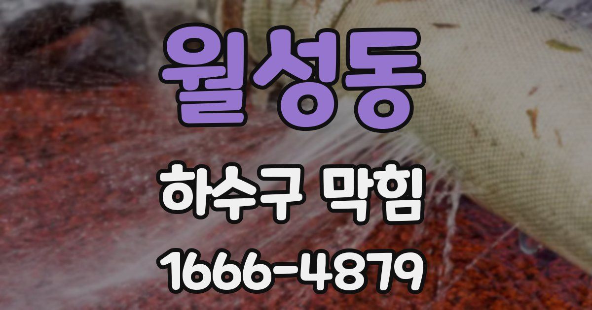 월성동 하수구 막힘