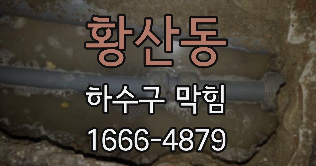 황산동 하수구 막힘