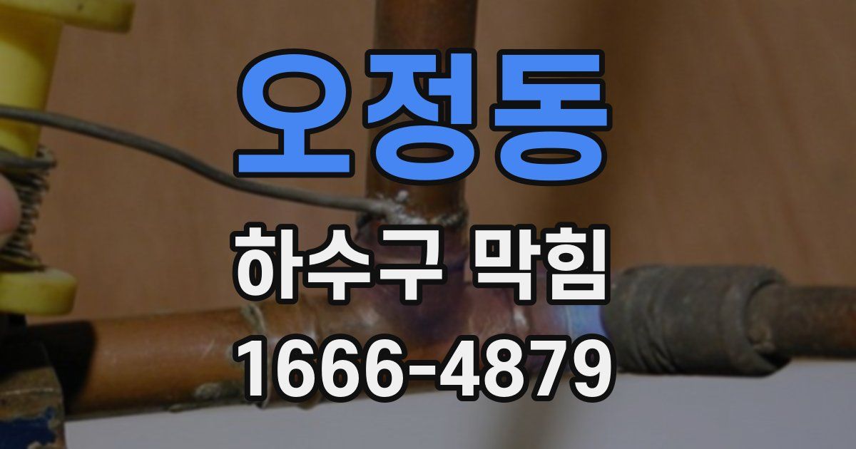 오정동 하수구 막힘
