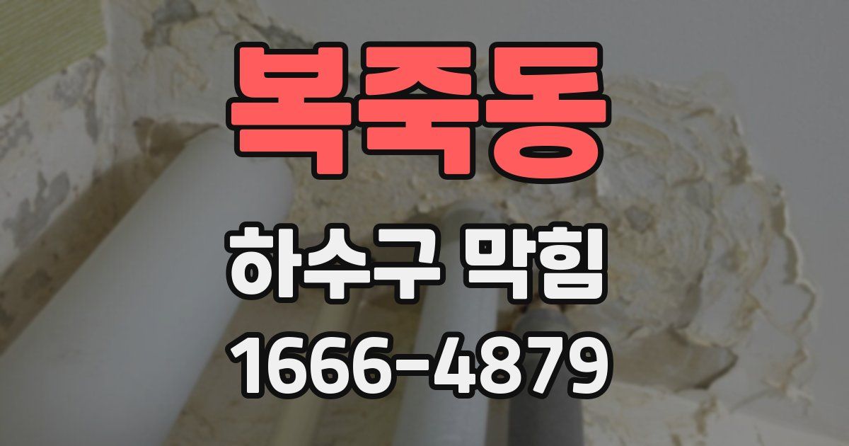 복죽동 하수구 막힘