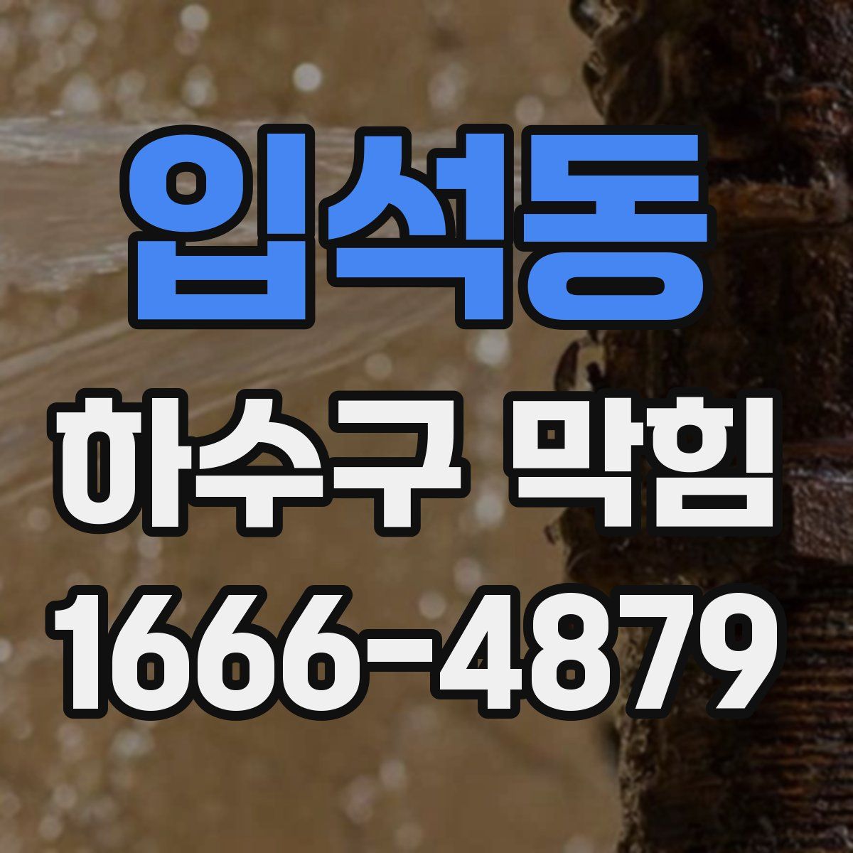 입석동 하수구 막힘