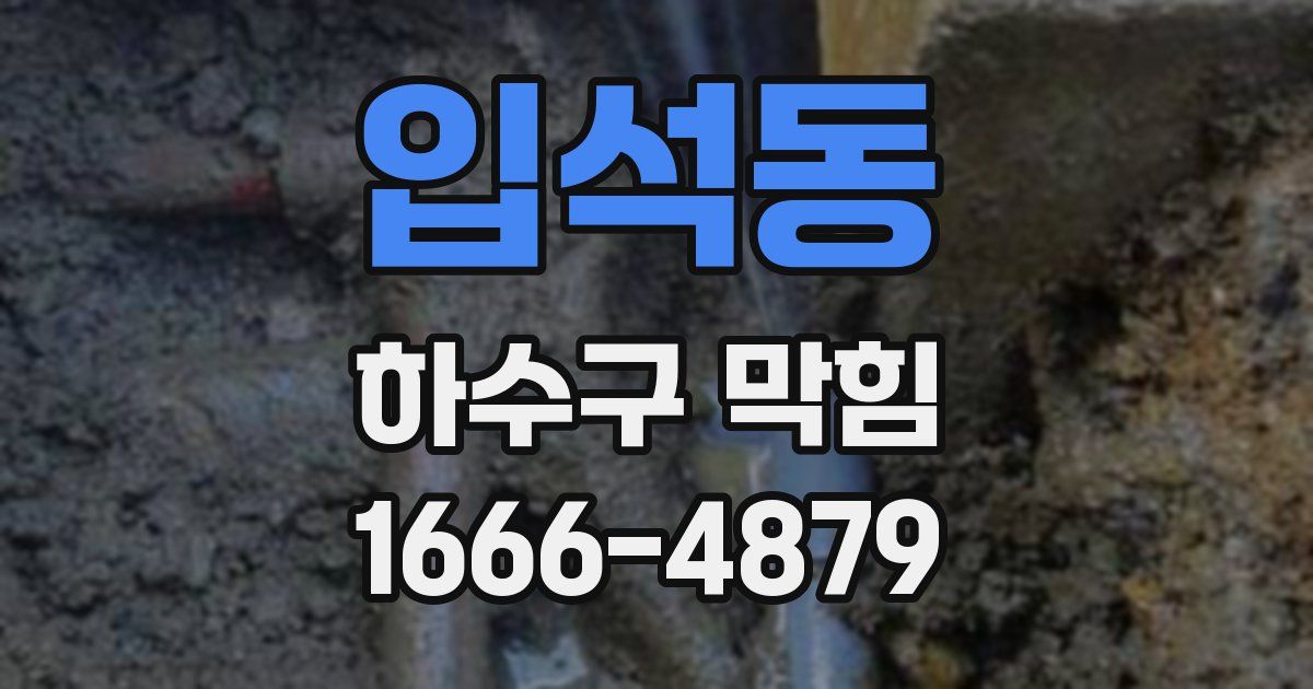 입석동 하수구 막힘