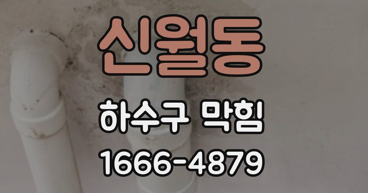 신월동 하수구 막힘
