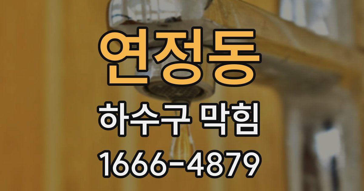 연정동 하수구 막힘