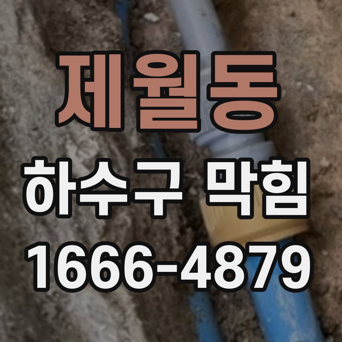 제월동 하수구 막힘