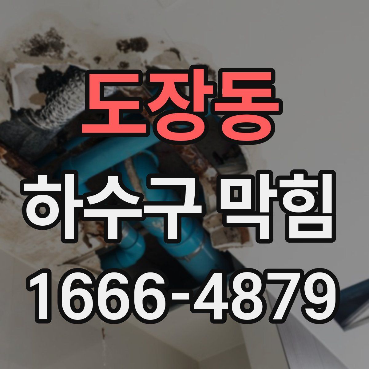 도장동 하수구 막힘
