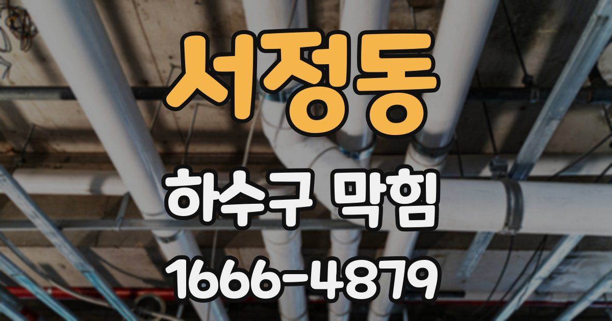 서정동 하수구 막힘