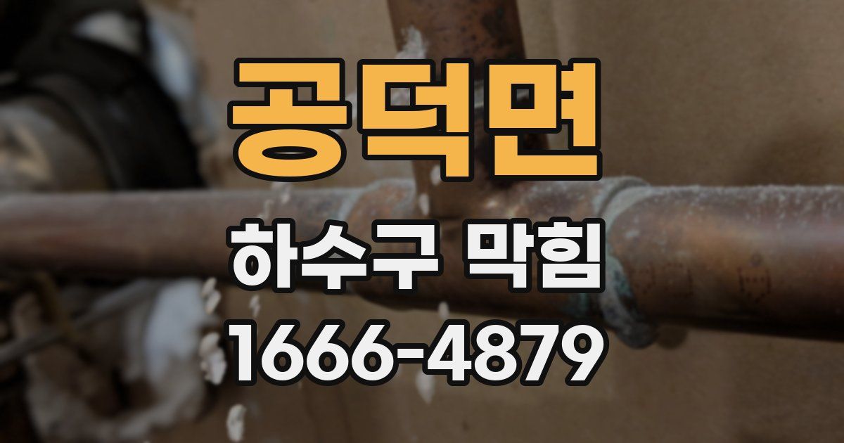 공덕면 하수구 막힘