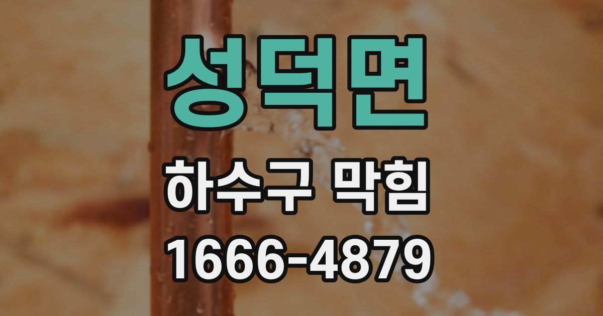 성덕면 하수구 막힘