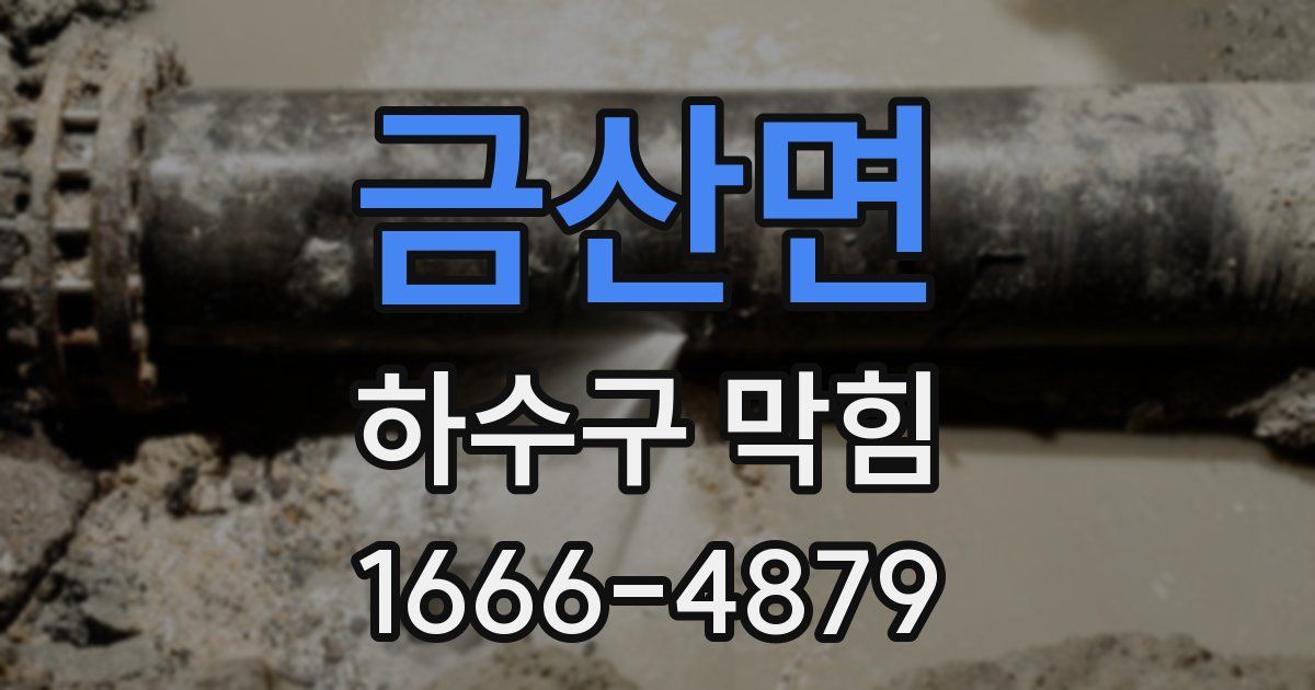 금산면 하수구 막힘