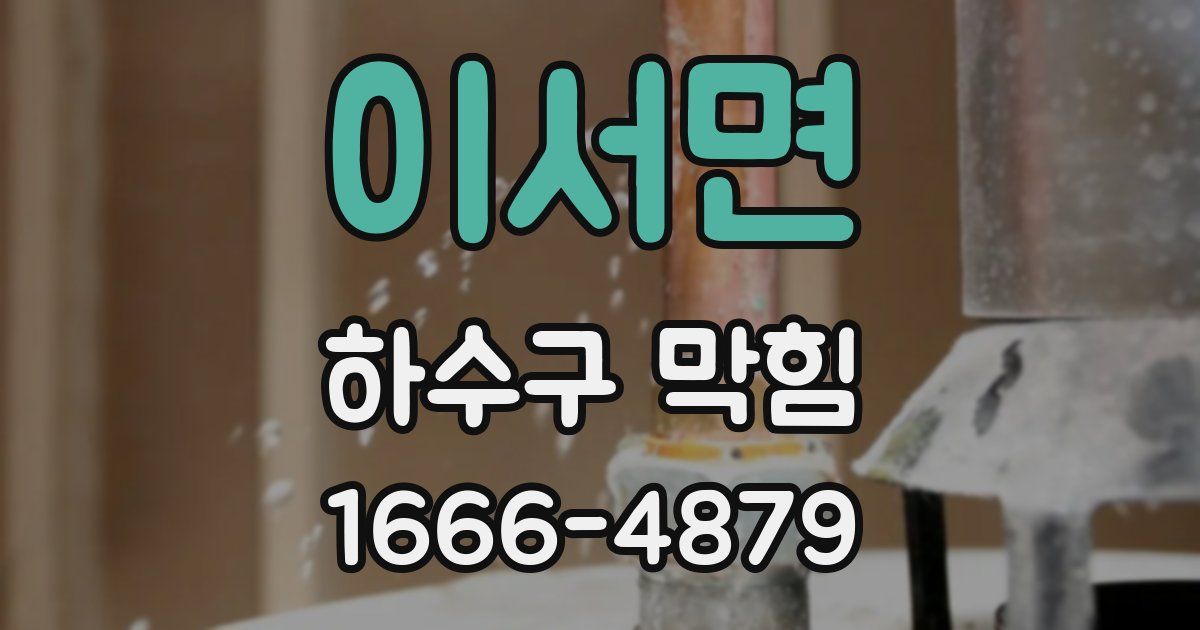 이서면 하수구 막힘