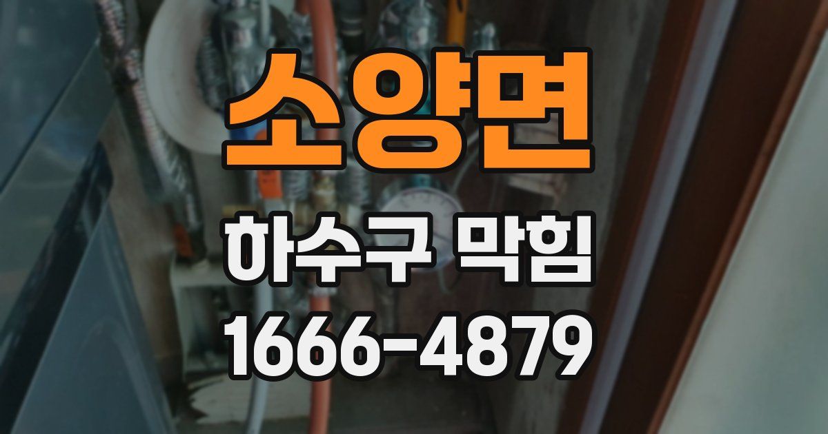 소양면 하수구 막힘