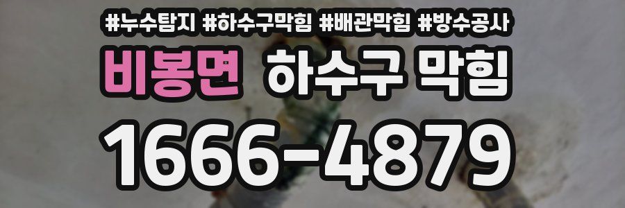 비봉면 하수구 막힘