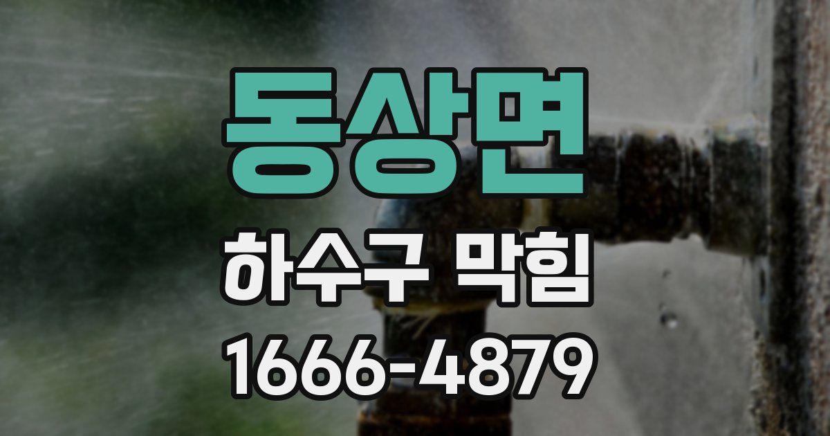 동상면 하수구 막힘