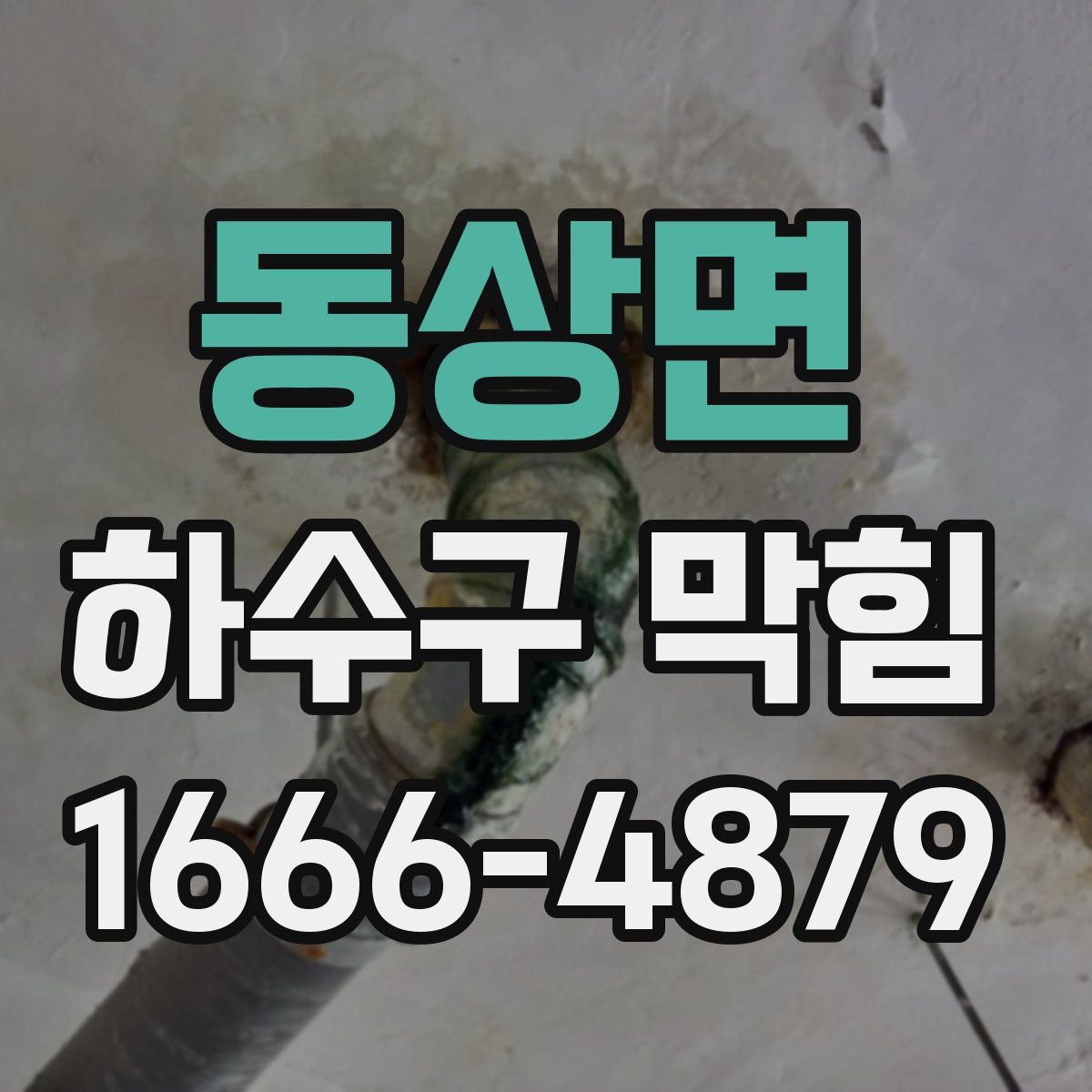 동상면 하수구 막힘