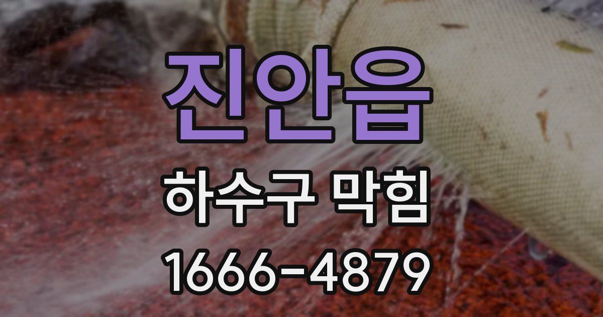 진안읍 하수구 막힘