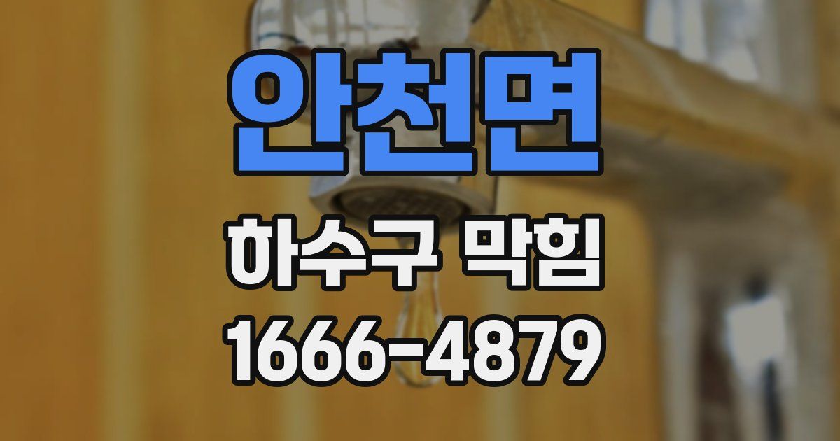 안천면 하수구 막힘