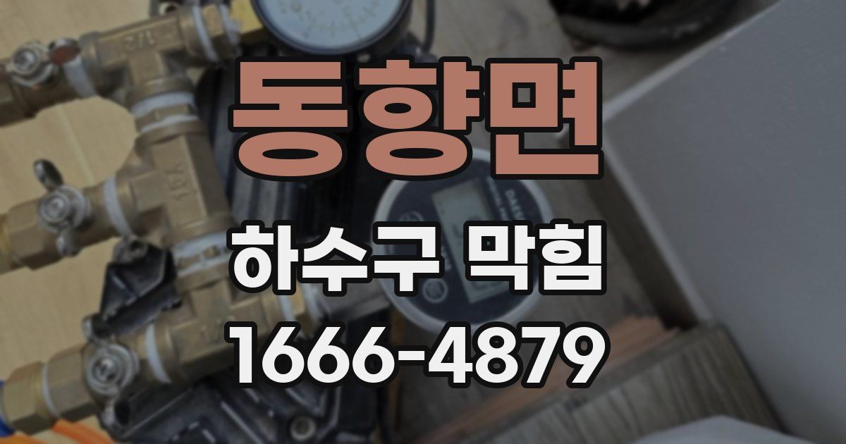 동향면 하수구 막힘